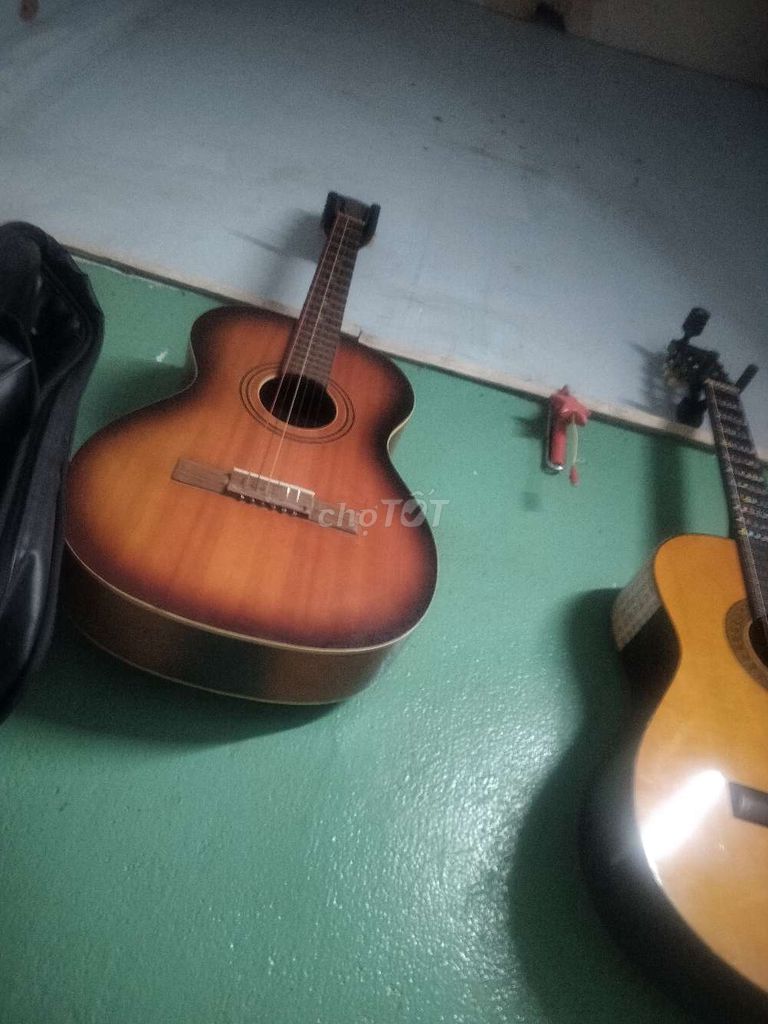 Đàn guitar acco