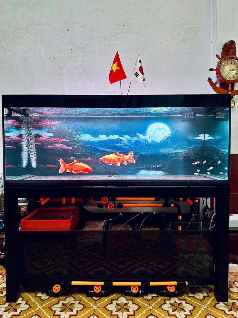 Thâu ca Rồng - Hổ - Sam. Mua bán Thú cưng khác tại Quận 12 Tp Hồ Chí Minh được đăng bởi Phan Nguyên hình 1