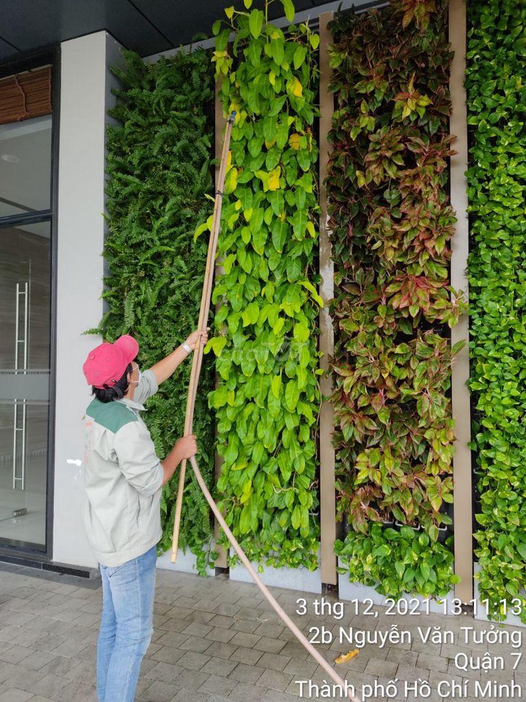 Tuyển dụng và nhân sự chăm sóc cây xanh. Việc làm tại Huyện Nhà Bè Tp Hồ Chí Minh được đăng bởi CTY TNHH CẢNH QUAN TRẺ hình 3
