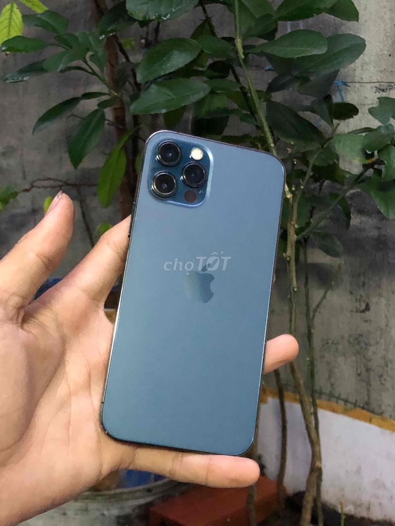iPhone 12 Pro 128GB Xanh. Mua bán Điện thoại tại Quận 6 Tp Hồ Chí Minh được đăng bởi cẩm phát hình 1