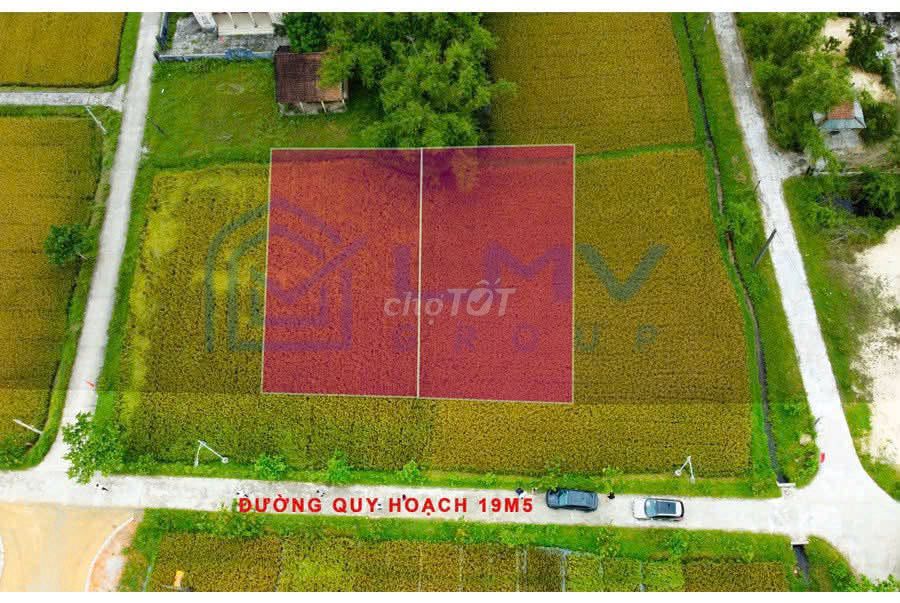 KQH Vĩnh Xương Điền Môn khổ biệt thự đường 19m5 