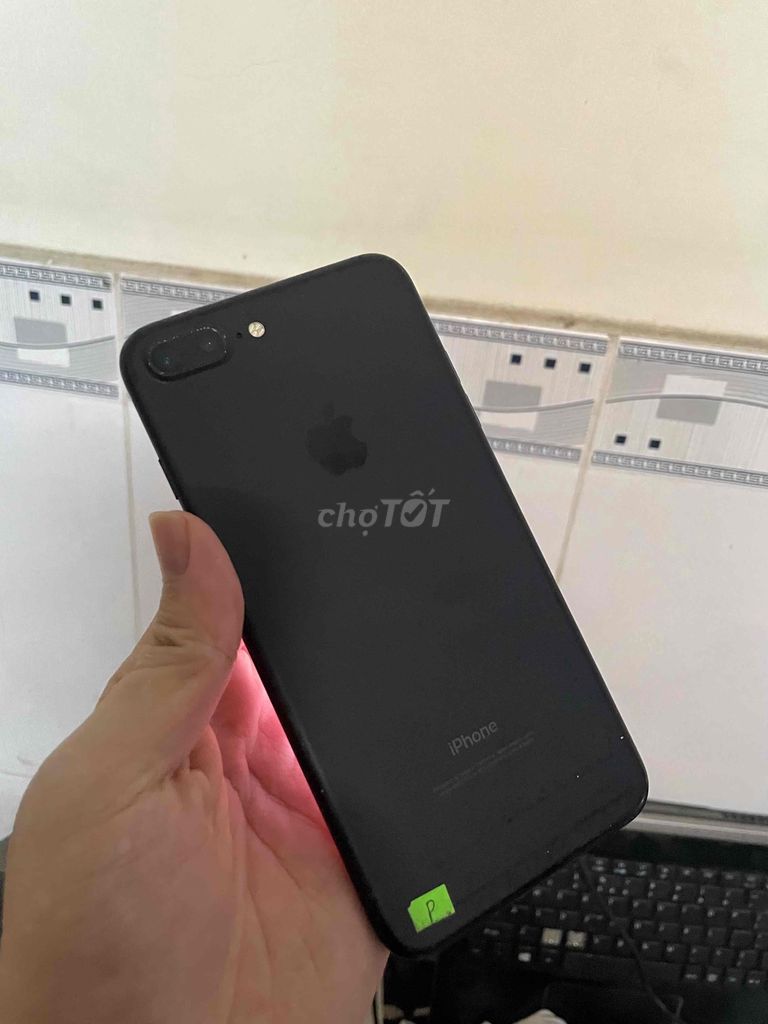 7Plus Full zin full cn