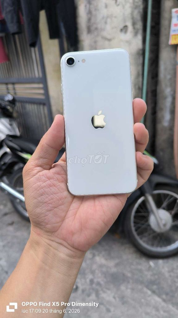 Apple iPhone SE 2020 128GB Trắng Like New. Mua bán Điện thoại tại Quận Hai Bà Trưng Hà Nội được đăng bởi duong anh dung hình 1