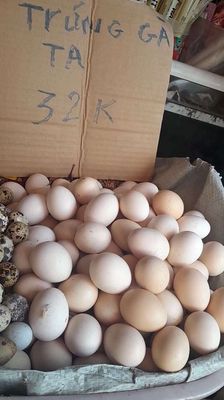 Trứng gà ta, số lượng nhiều. Mua bán Đồ ăn, thực phẩm và các loại khác tại Huyện Bình Chánh Tp Hồ Chí Minh được đăng bởi lê thi mong nhi 