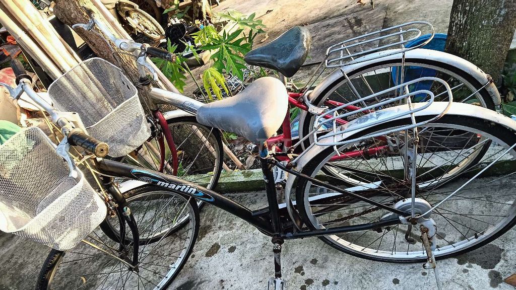 Xe đạp. Mua bán Xe đạp tại Huyện Bình Chánh Tp Hồ Chí Minh được đăng bởi Cao Đắc Lợi hình 5
