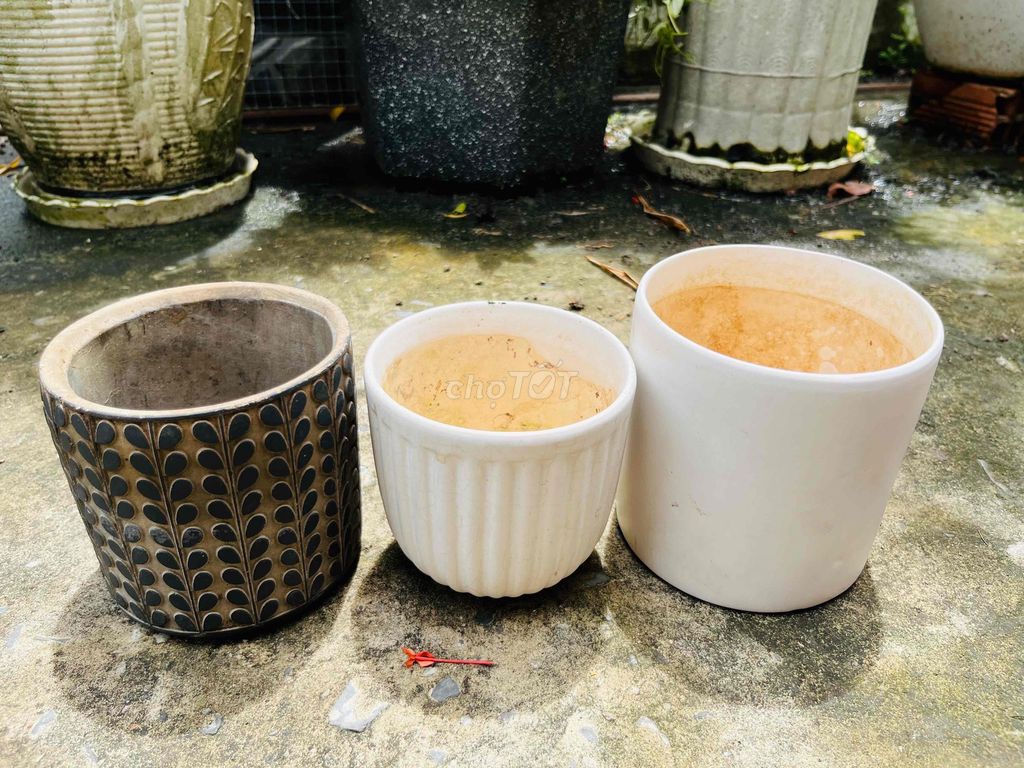 Chậu cây Gốm nhiều màu đồng giá 30k/1c. Mua bán Cây cảnh, đồ trang trí tại Thị xã Gò Công Tiền Giang được đăng bởi Tạp Hoá Đồ Cũ hình 1