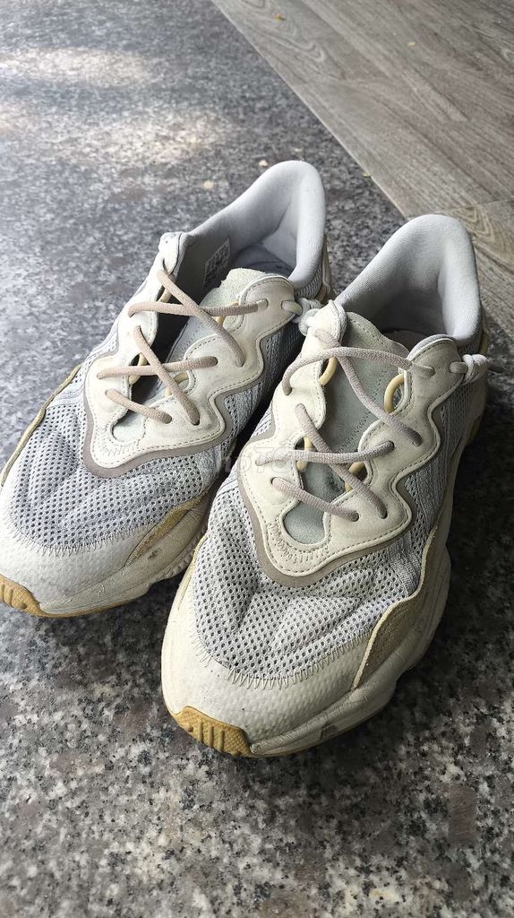 Giày thể thao Adidas Ozweego Xám size 42. Mua bán Giày dép tại Thành phố Huế Thừa Thiên Huế được đăng bởi Tôi là ai  hình 1