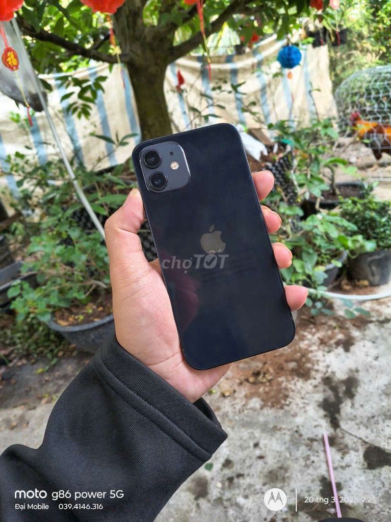 Apple iPhone 12 64GB Quốc zin ốc áp( Có giao lưu). Mua bán Điện thoại tại Thành phố Vĩnh Long Vĩnh Long được đăng bởi Đại Mobile Báo đúng tình trạng  hình 1