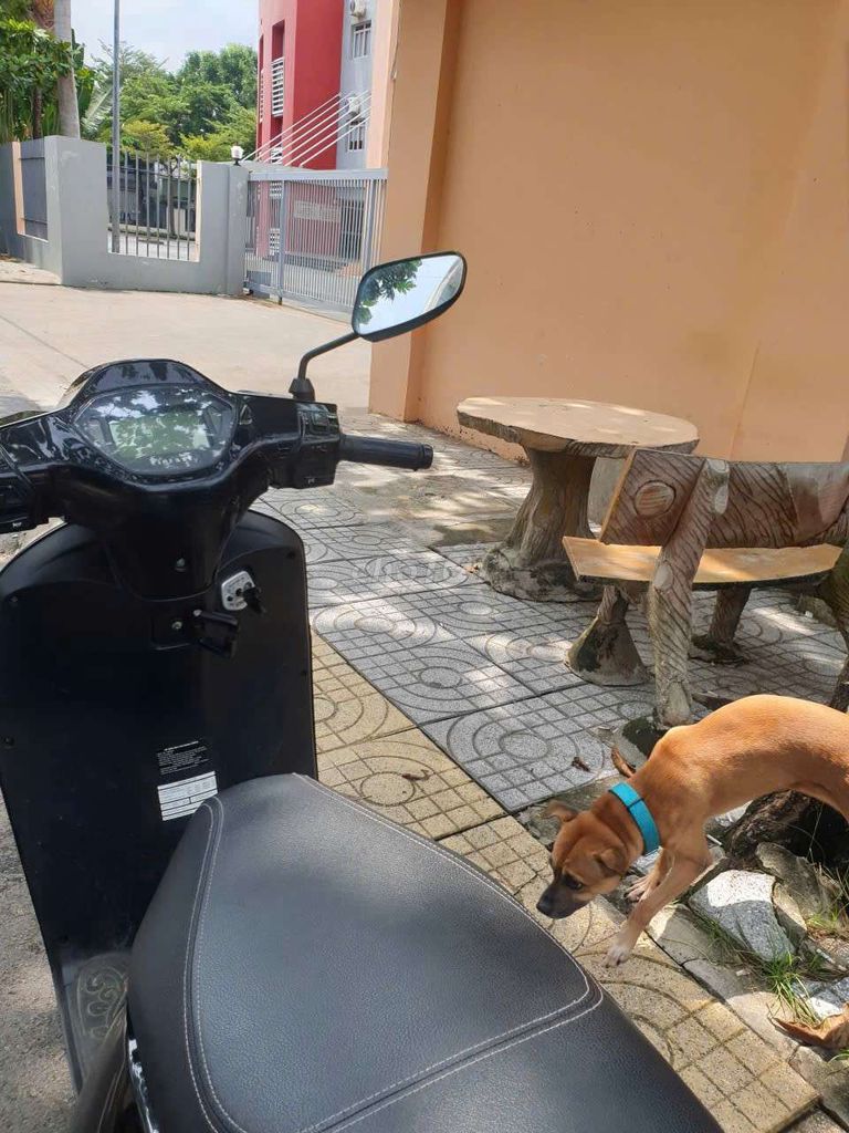 Xe điện Vinfat. Mua bán Xe điện tại Thành phố Thủ Đức Tp Hồ Chí Minh được đăng bởi Huỳnh Như hình 2