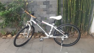 Xe đạp Nhật Bridgestone rin nguyên bản size S