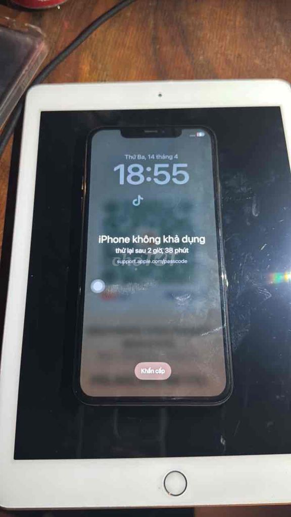 11PRM 64GB Zin All🔥. Mua bán Điện thoại tại Thành phố Vũng Tàu Bà Rịa - Vũng Tàu được đăng bởi nguyễn hữu nguyên bảo hình 1
