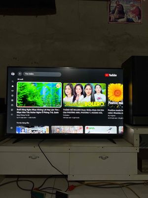 TCL  55inh , model 55p615.
