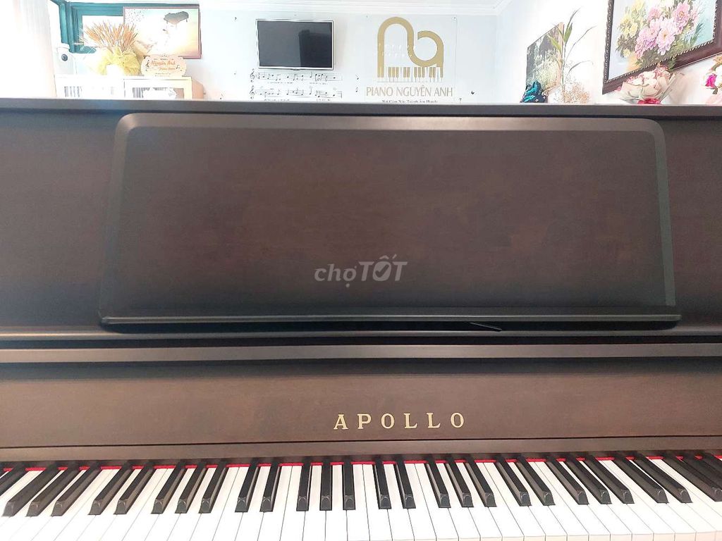 Đàn Piano Apollo cao cấp, bản giới hạn.. Mua bán Nhạc cụ tại Quận 12 Tp Hồ Chí Minh được đăng bởi  Nguyên Anh Japan hình 1