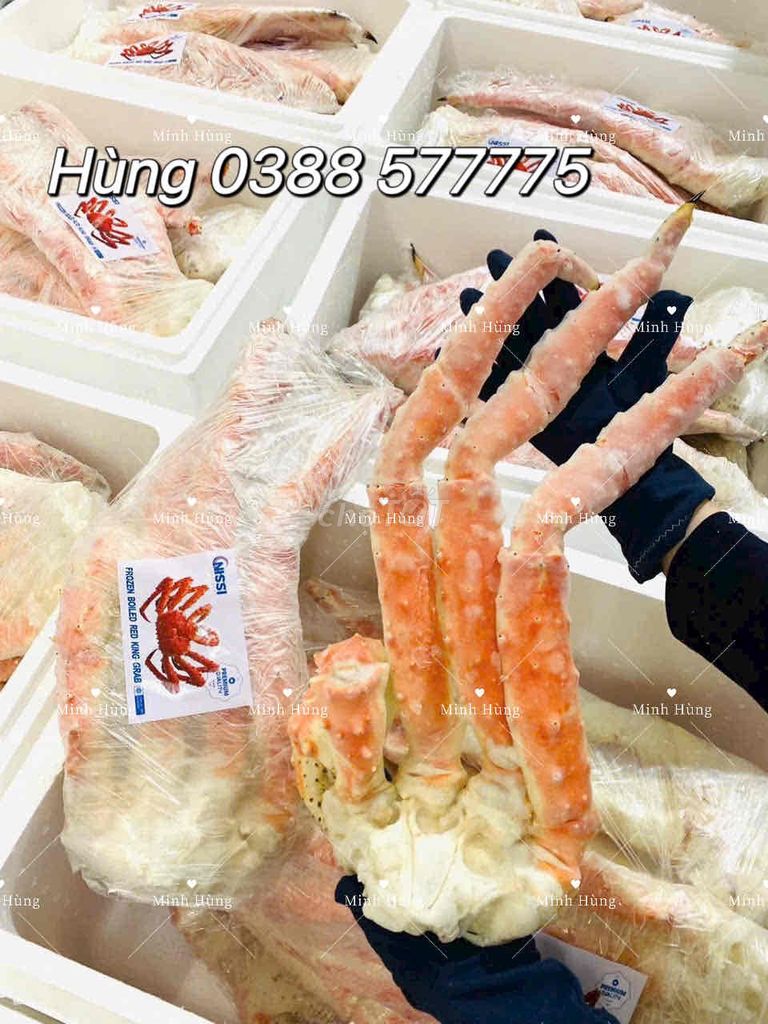 Cua Hoàng Đế Xông Nhiệt 1.2kg - 1.8kg. Mua bán Đồ ăn, thực phẩm và các loại khác tại Quận Gò Vấp Tp Hồ Chí Minh được đăng bởi Hùng hình 1