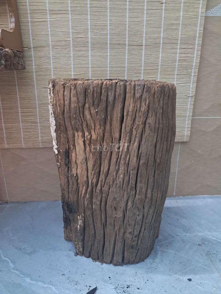Đôn kê bonsai Gỗ căm xe 42cm 28x22cm. Mua bán Cây cảnh, đồ trang trí tại Thành phố Thuận An Bình Dương được đăng bởi Nguyen minh luan hình 1