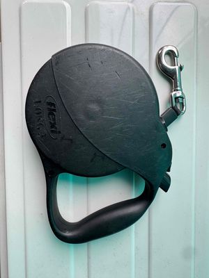 Đai Phoepet và dây dắt Flexi long 3 cho thú cưng. Mua bán Phụ kiện, Thức ăn, Dịch vụ tại Quận Hà Đông Hà Nội được đăng bởi Trần Lợi