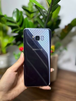 Samsung S8 64GB Đen
