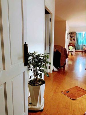 Chung cư Coopmart Vũng Tàu 3PN