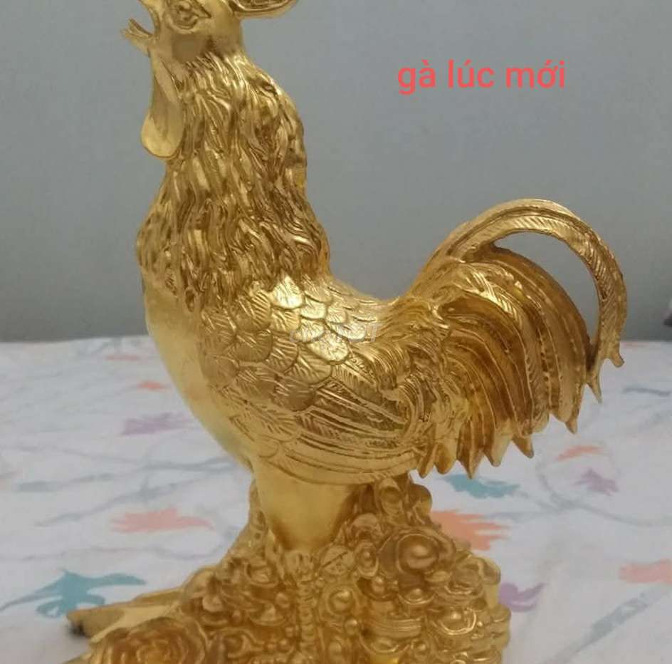 Gà đồng dát 1 chỉ vàng