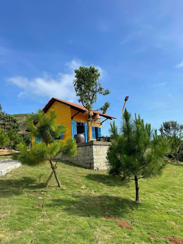 Nhà vườn nghỉ dưỡng view săn mây đồi Bát Úp-TP.Bảo Lộc 1549m2 chỉ 2.4t. Mua bán nhà ở tại Thành phố Bảo Lộc Lâm Đồng được đăng bởi Kim Ngân BDS Bảo Lộc hình 1