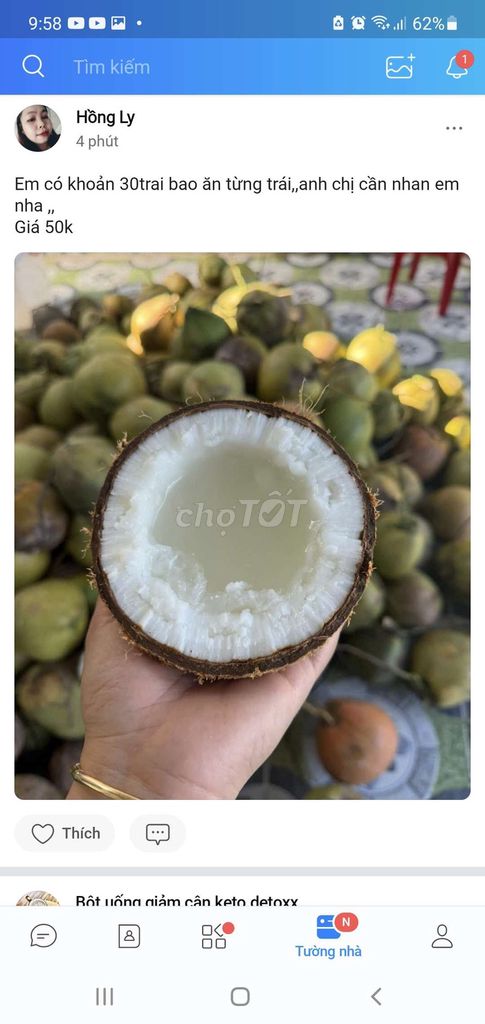 Dừa sáp Trà Vinh . Mua bán Đồ ăn, thực phẩm và các loại khác tại Huyện Tiểu Cần Trà Vinh được đăng bởi Huong Nguyen hình 1