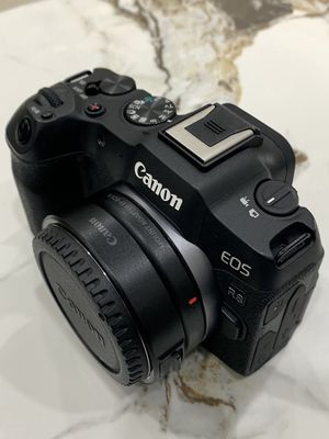 Canon R8 Likenew + Ngàm EOS R Cần Bán