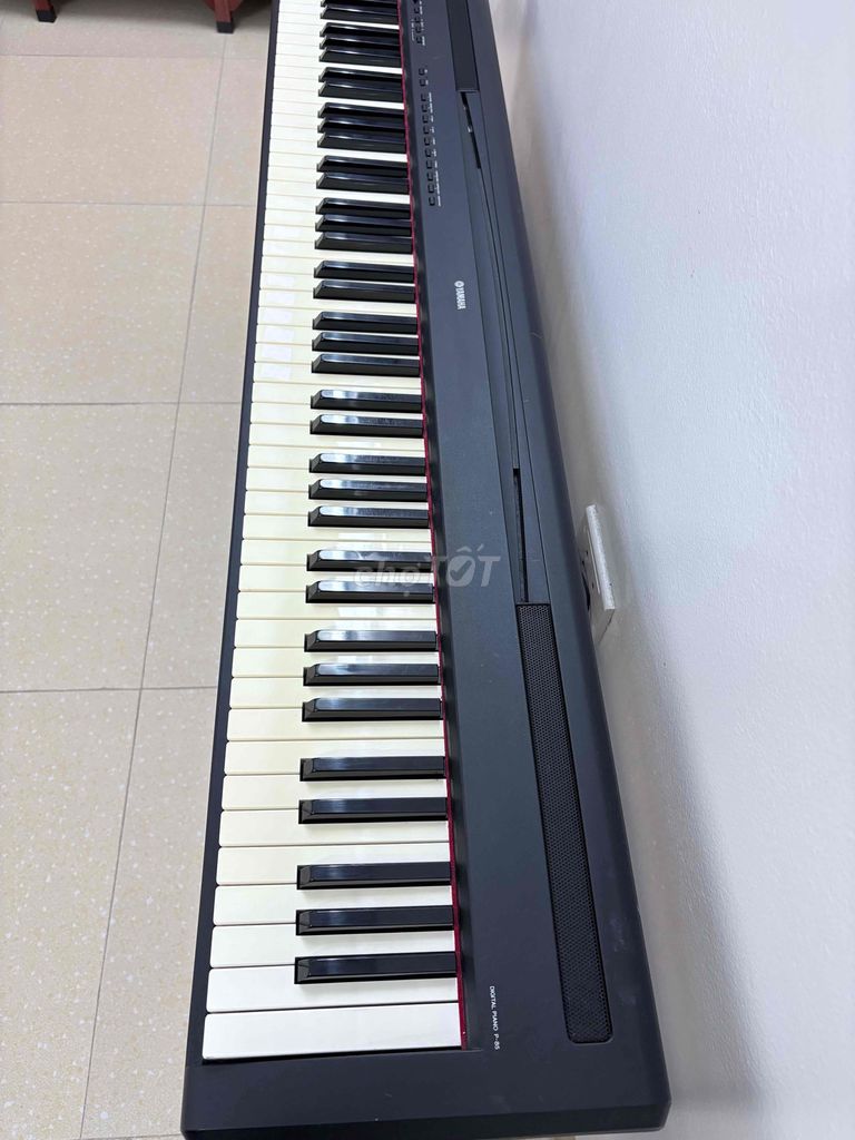 Cần bán Piano Yamaha P-85 sử dụng tốt