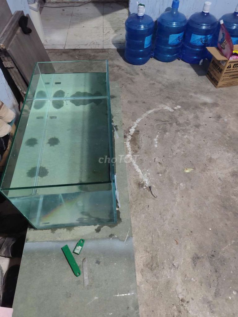 Hồ cá kính thường, cường lực. Mua bán Phụ kiện, Thức ăn, Dịch vụ tại Quận Tân Phú Tp Hồ Chí Minh được đăng bởi Phạm trần nhựt hình 1