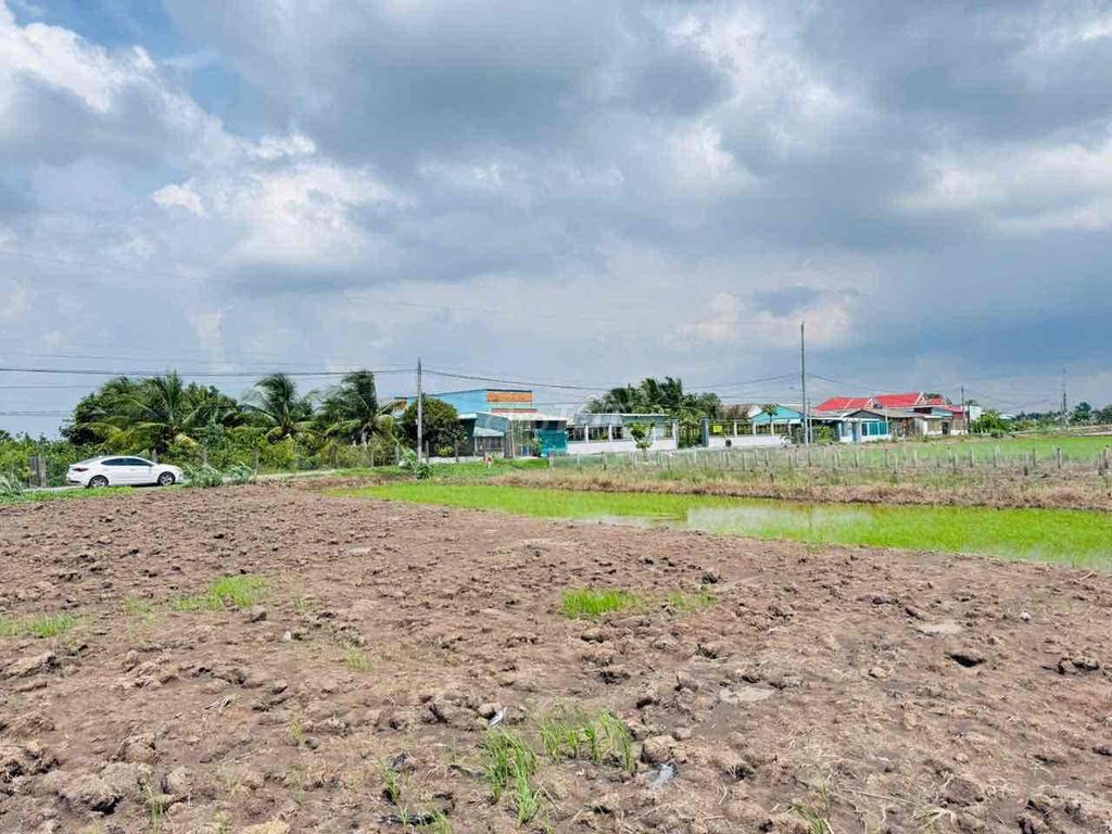 Đất thổ cư mặt tiền nhựa Nguyễn Thị Lầu, dân đông, đường thông. Mua bán đất tại Huyện Tân Trụ Long An được đăng bởi Tuyến Lê hình 3