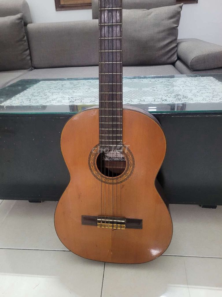 Đàn guitar Nhật- Độc, chất ***