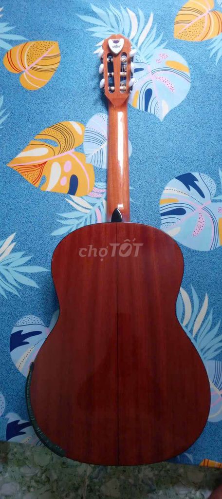Guitar classic takamine