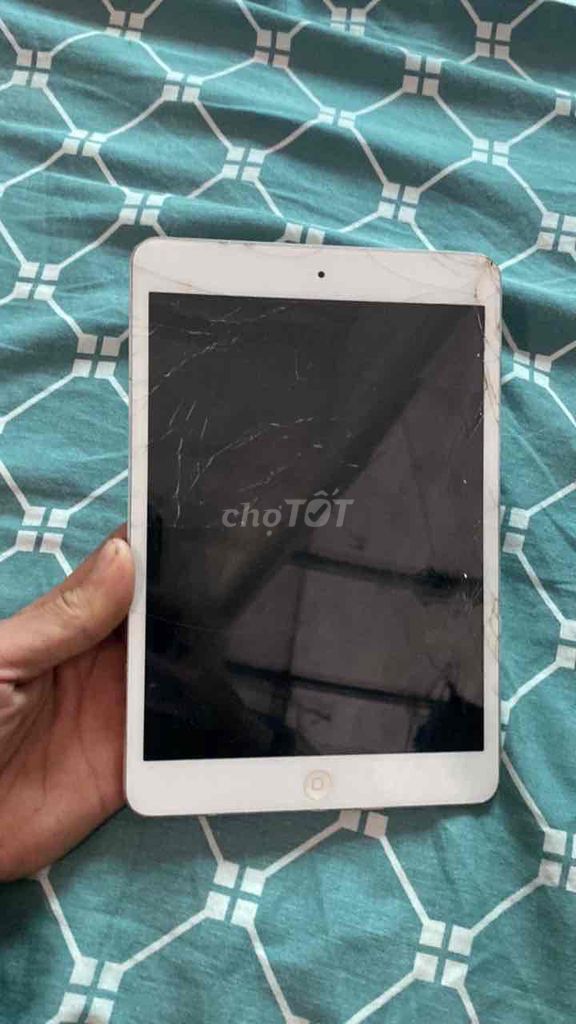 Apple iPad mini Trắng. Mua bán Máy tính bảng tại Quận Hà Đông Hà Nội được đăng bởi Quân 2K hình 1
