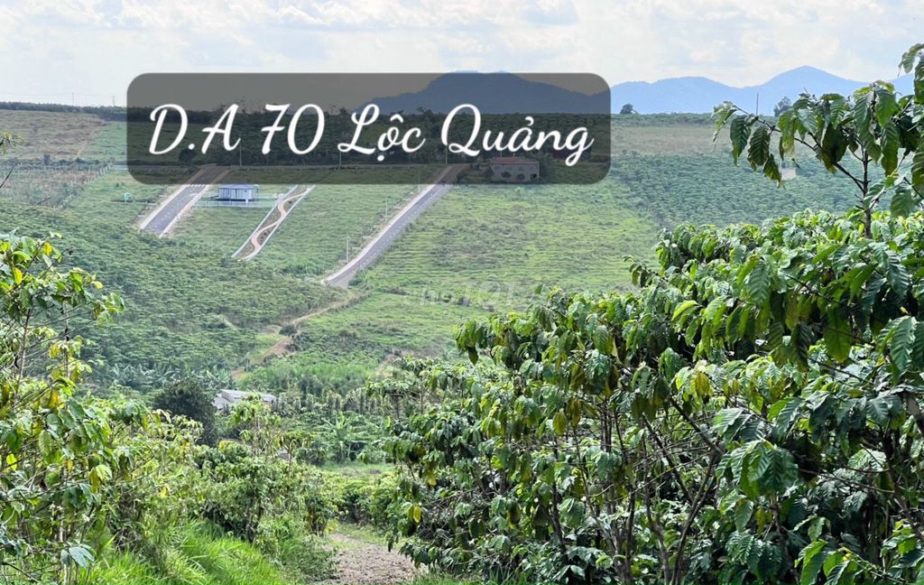 Bán thu hồi vốn lô đất đường 21 Lộc Quảng, Bảo Lâm - QH Thổ cư