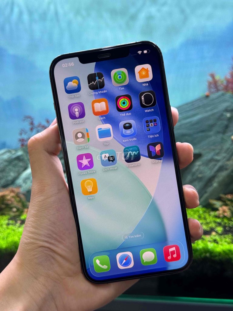 Thanh líPhone 12 Pro Max 128GB Xám Đã qua sử dụng. Mua bán Điện thoại tại Quận Ninh Kiều Cần Thơ được đăng bởi Cường Thịnh store hình 1