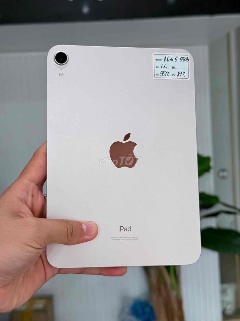 Apple iPad Mini 6 64GB Hồng 99%. Mua bán Máy tính bảng tại Quận Đống Đa Hà Nội được đăng bởi Quý Hoàng hình 1
