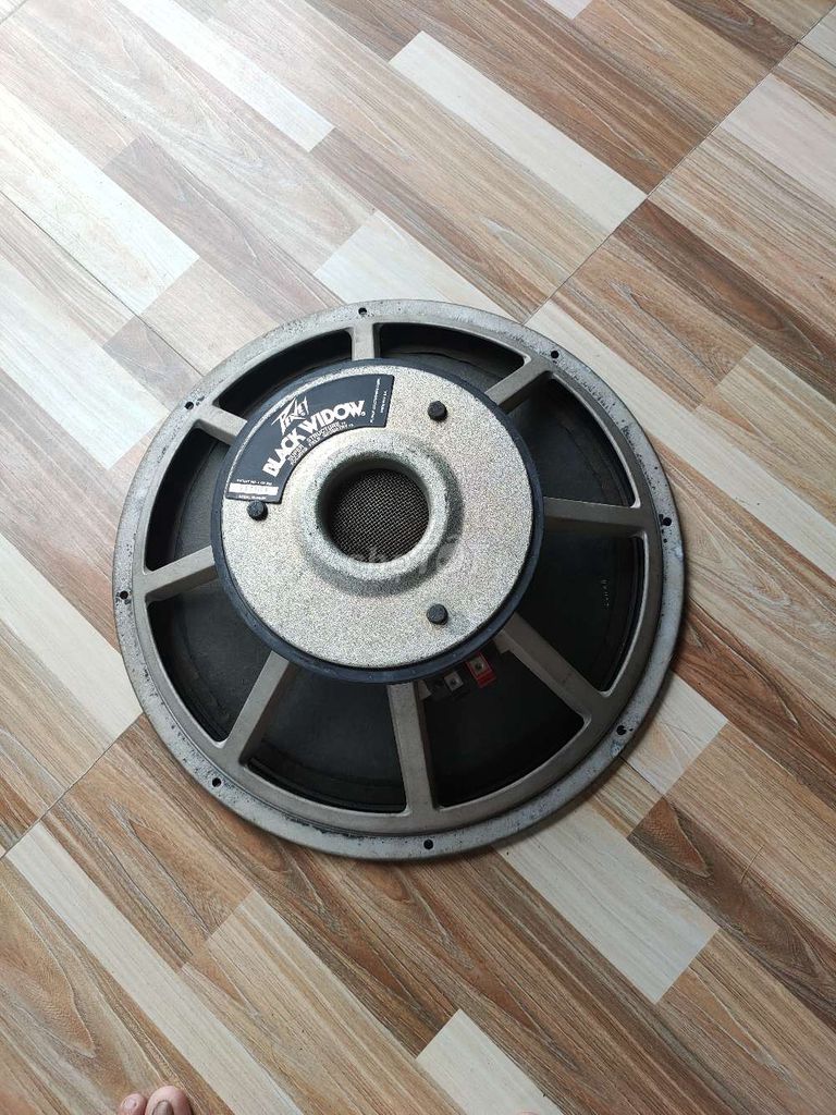 Loa sub PEAVEY, Bass 50c, côn 100, mỹ nòi