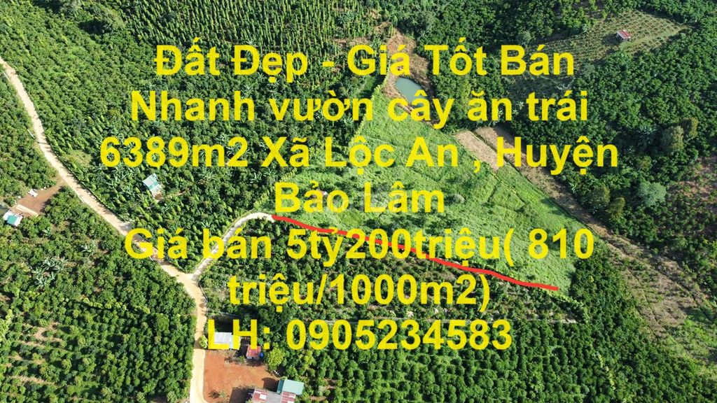Đất Đẹp - Giá Tốt Bán Nhanh vườn cây ăn trái 6389m2 Xã Lộc An, Bảo Lâm
