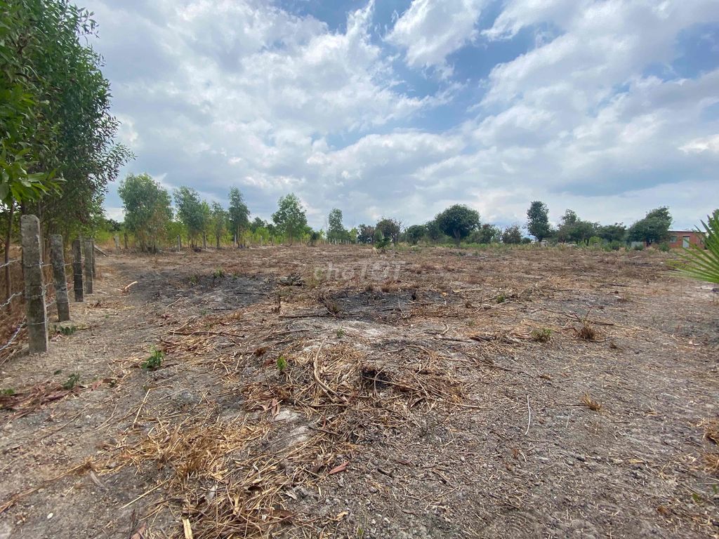 Đất xuân hưng 4600 m2