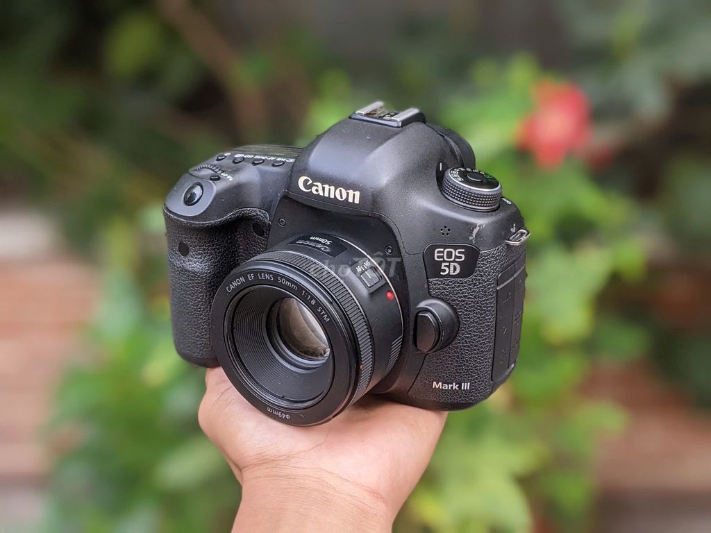[Máy ảnh KTS] Canon 5D Mark III kèm lens 50MM. Mua bán Máy ảnh, Máy quay tại Quận 6 Tp Hồ Chí Minh được đăng bởi may anh KTS hình 1