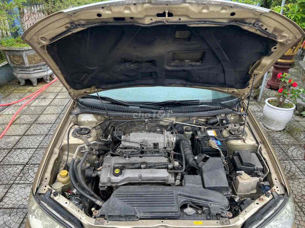 Ảnh số 5