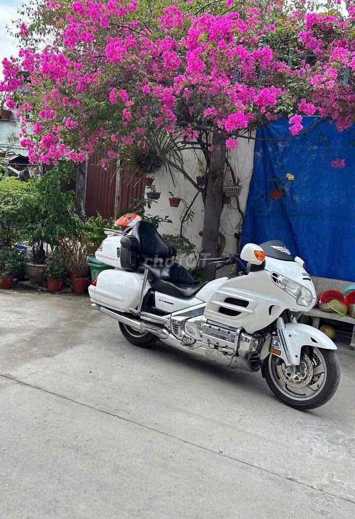 goldwing 1800. Mua bán Xe máy tại Huyện Châu Phú An Giang được đăng bởi Trí Hà hình 1