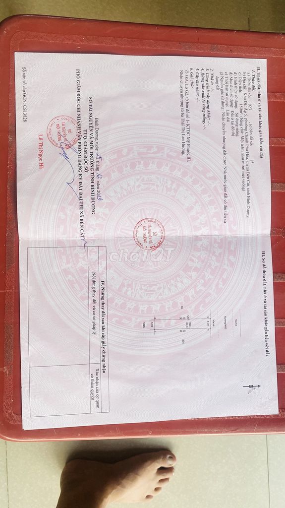 Bán căn trọ mỹ Phước 3. Mua bán nhà ở tại Thị xã Bến Cát Bình Dương được đăng bởi nguyễn ngọc thái hình 5