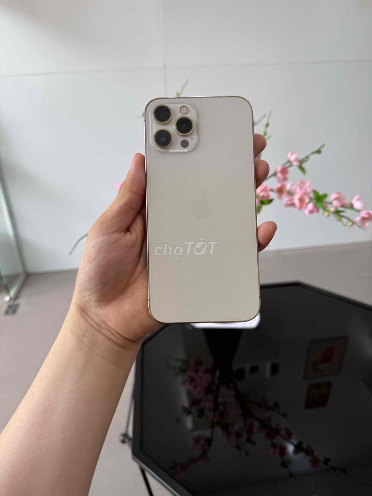 📱12Promax 256GB Full ko face id màn thay ngon. Mua bán Điện thoại tại Thành phố Huế Thừa Thiên Huế được đăng bởi shop văn thành hình 1