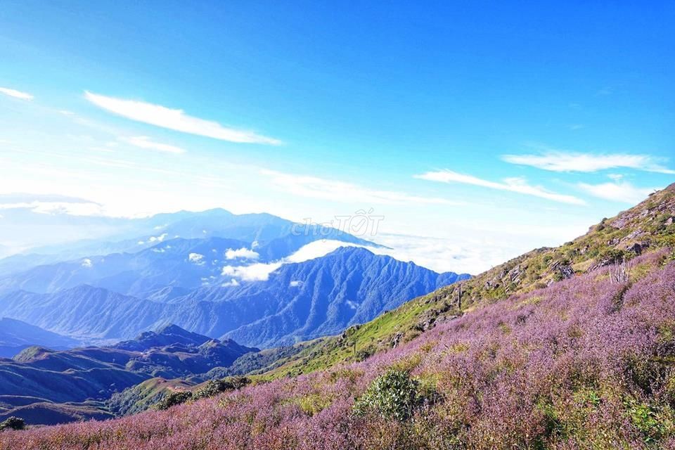TRECKING - TÀ CHÌ NHÙ THIÊN ĐƯỜNG MÂYY