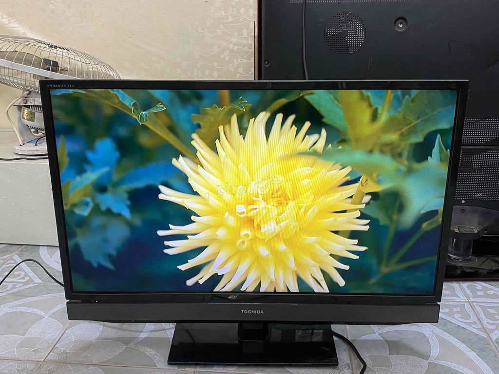 Pass tivi  Toshiba 32 inch màn led ko mạng 850k hn