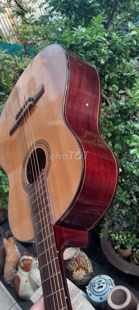 Đàn Guitar gỗ thịt