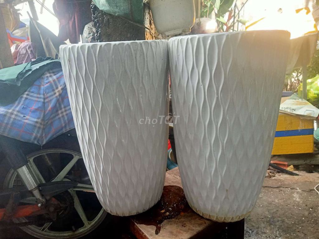 Chậu cây cảnh Gốm sứ Trắng Cao 51cm g. Mua bán Cây cảnh, đồ trang trí tại Quận 12 Tp Hồ Chí Minh được đăng bởi Bé  hình 1