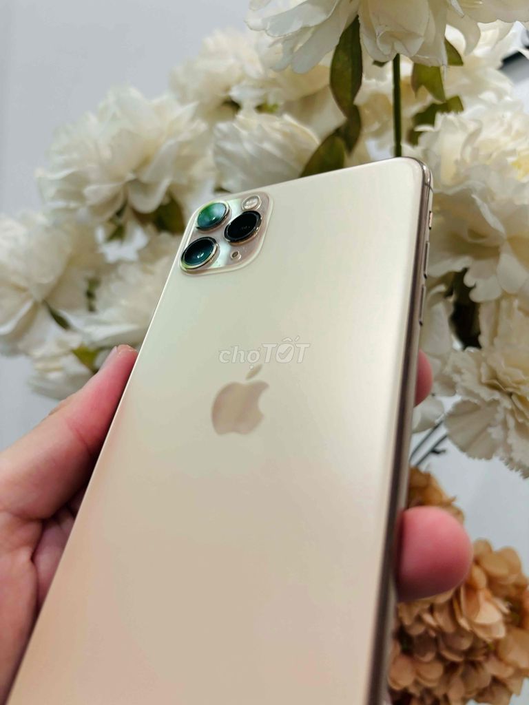 iphone 11 promax 64gb gold 99%