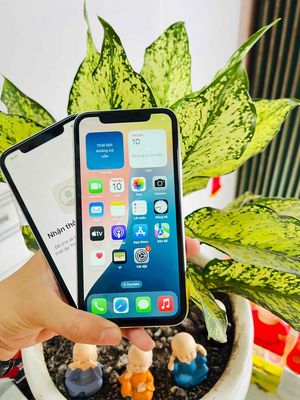 IPHONE 11 64Gb QUỐC TẾ ZIN. Mua bán Điện thoại tại Quận Ninh Kiều Cần Thơ được đăng bởi Phụ Kiện 