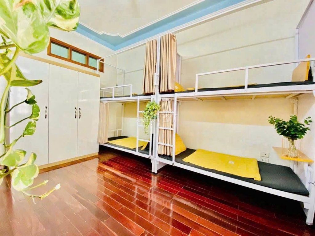 Cho thuê Homestay Giường Tầng Ghép - Đa dạng địa điểm